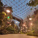 Indoor garden at Hamad International Airport featuring lush greenery, a geometric glass dome ceiling, and a curved elevated walkway—showcasing the best of Qatar’s airport design.